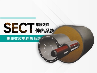 集肤效应电伴热系统
