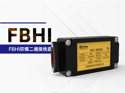 FBHI防爆二通接线盒