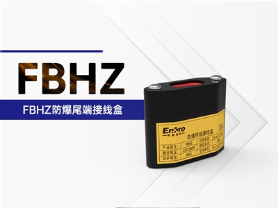 FBHZ防爆尾端接线盒